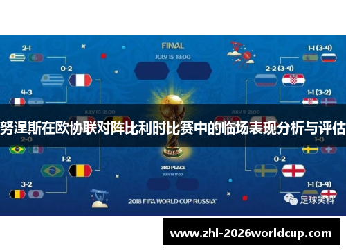 努涅斯在欧协联对阵比利时比赛中的临场表现分析与评估