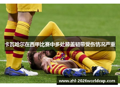 卡瓦哈尔在西甲比赛中多处膝盖韧带受伤情况严重 卡瓦哈尔在西甲比赛中多处膝盖韧带受伤情况严重
